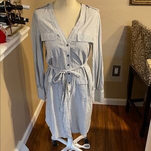BcbgMaxAzria Striped Button-Up Dress with Belt